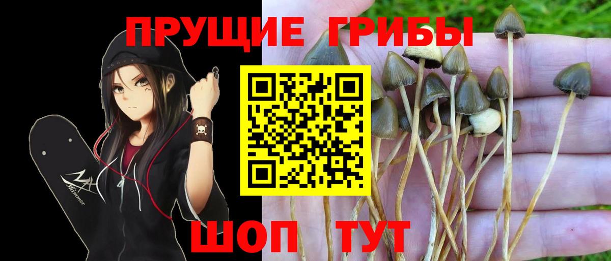Реж  Псилоцибиновые грибы мухоморы  Вход с VPN 
