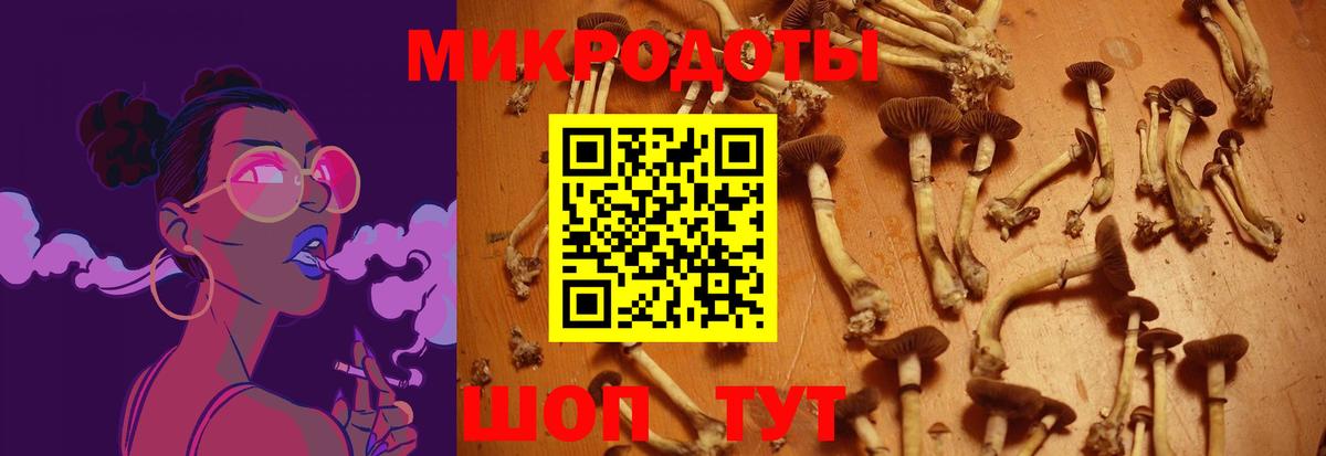 Галлюциногенные грибы Psilocybe Реж